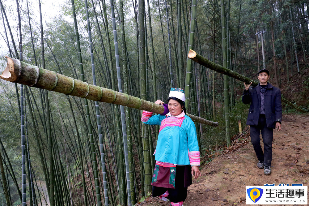 贵州榕江：赶制灯笼迎新年(图5)