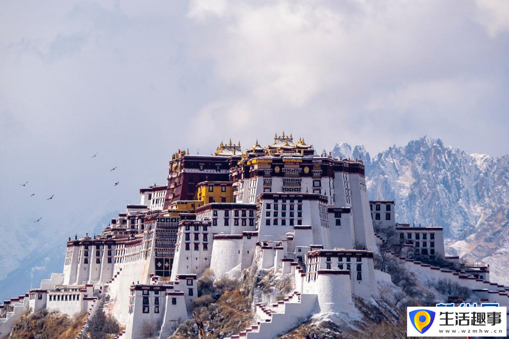 西藏拉萨：满天细雪映美景(图4)