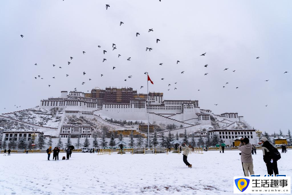 西藏拉萨:满天细雪映美景(图5) 西藏拉萨:满天细雪映美景(图5)