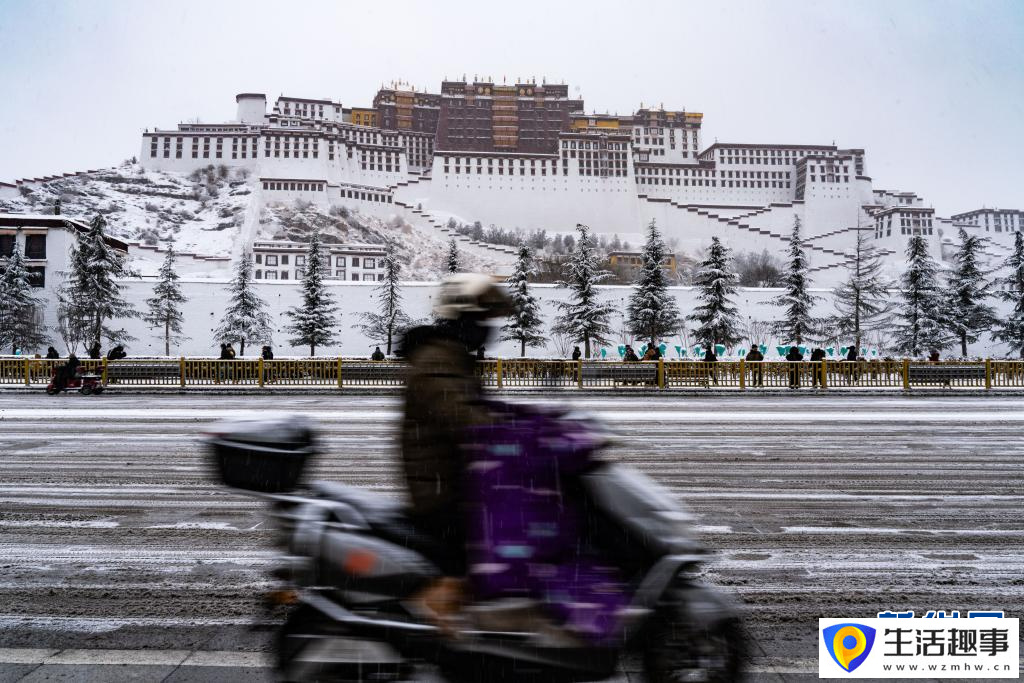 西藏拉萨:满天细雪映美景(图9) 西藏拉萨:满天细雪映美景(图9)