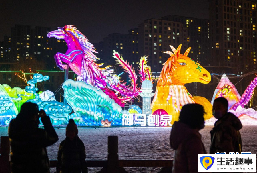 内蒙古呼和浩特：花灯璀璨迎新春(图2)