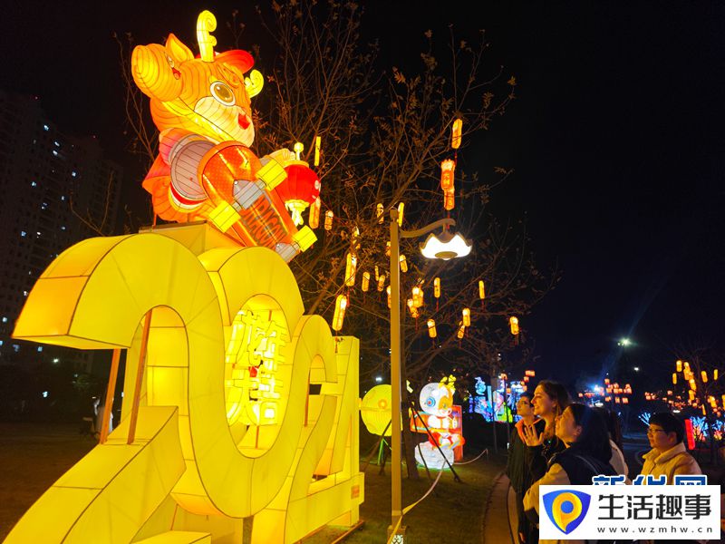 浙江乐清：新春灯展 流光溢彩(图2)