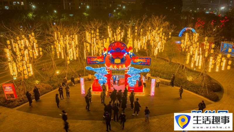 浙江乐清：新春灯展 流光溢彩(图4)