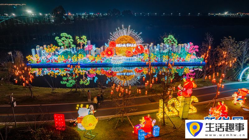 浙江乐清：新春灯展 流光溢彩(图5)