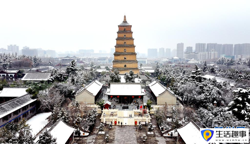 西安：大雁塔下千树白(图2)