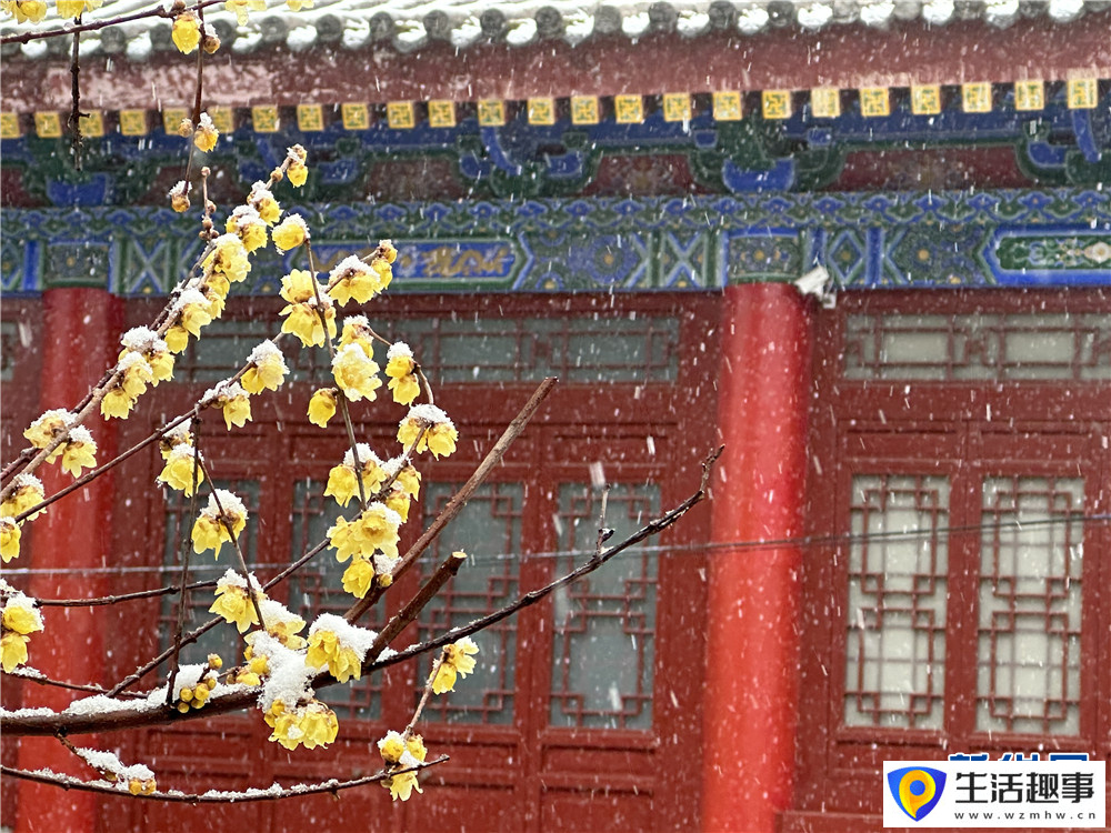 大雪纷飞 古城西安银装素裹(图13)