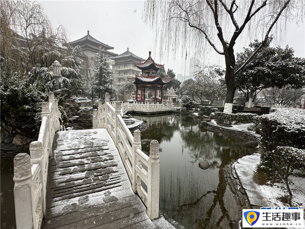 大雪纷飞 古城西安银装素裹(图14)