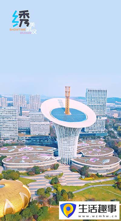 武汉，“秀”了个绣！(图6)