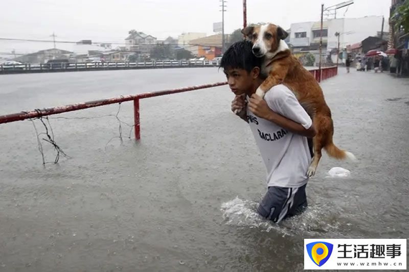 一个男孩带着他的狗穿过台风带来的洪水