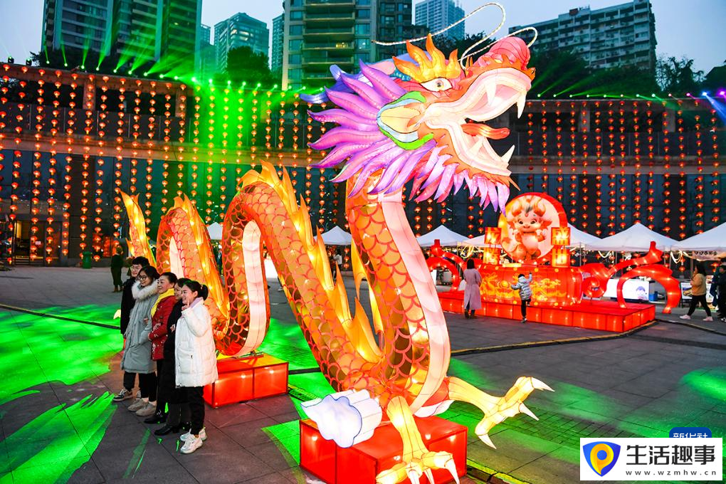 重庆：新春灯会年味浓(图4)