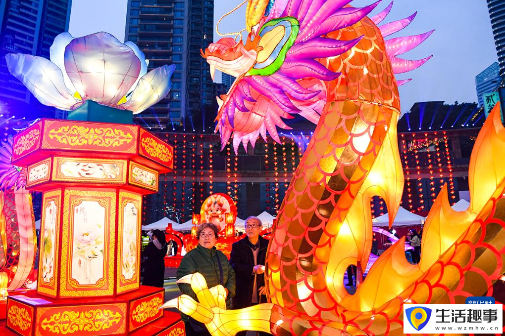 重庆：新春灯会年味浓(图8)