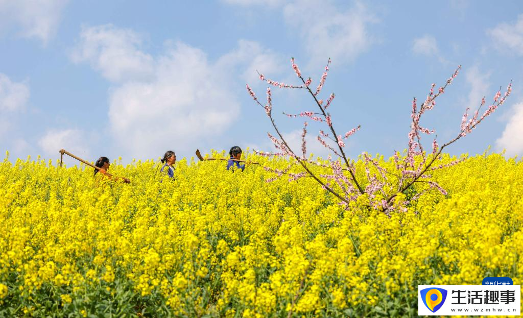 诗意中国 春日上春山(图3)