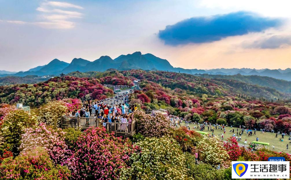诗意中国 春日上春山(图2)