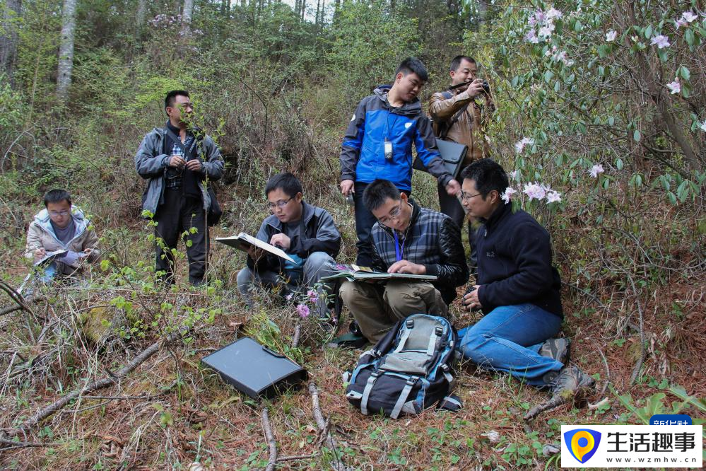 扎根深山 守护杜鹃花家园(图16)