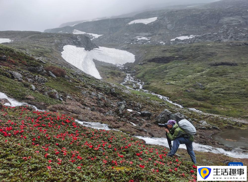 扎根深山 守护杜鹃花家园(图17)