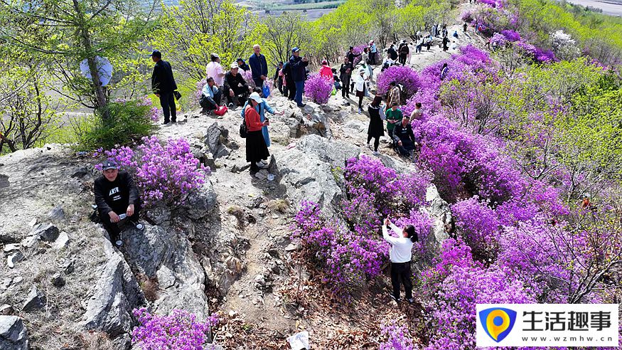 黑龙江鸡西：春光暖 山花烂漫迎游客(图1)
