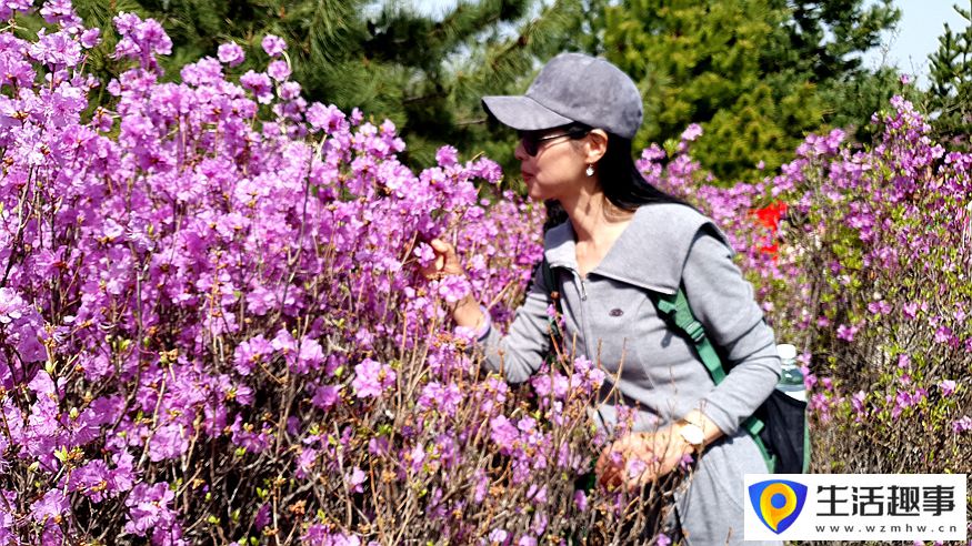 黑龙江鸡西：春光暖 山花烂漫迎游客(图3)