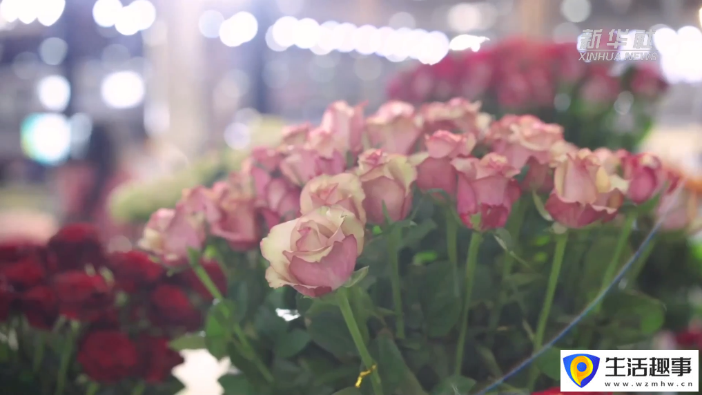春有约 花正好(图1)