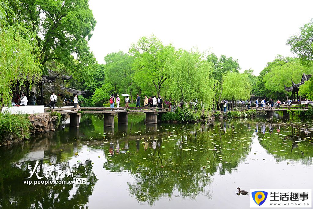 烟雨江南惹人醉(图4)