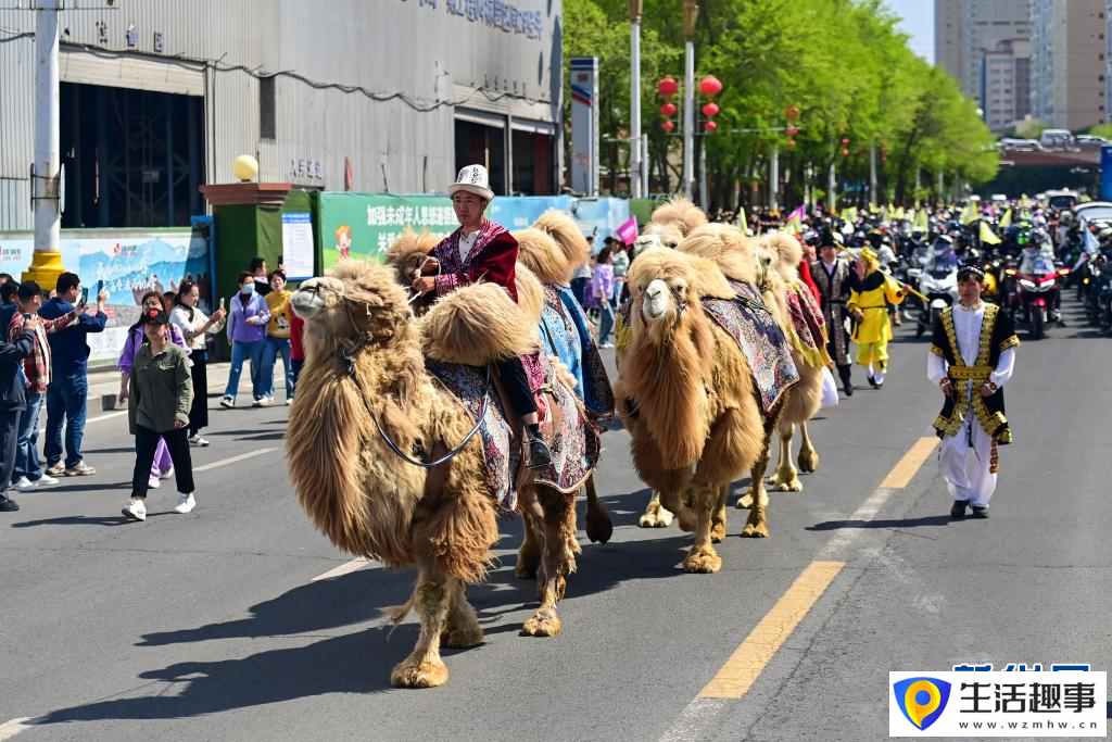 新疆乌鲁木齐：巡游盛宴(图1)