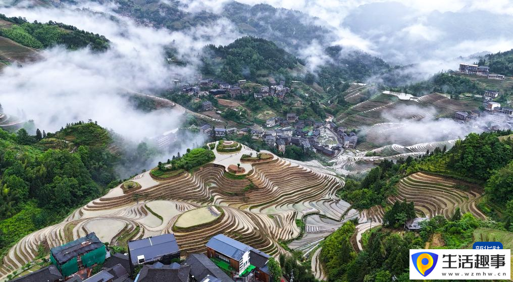初夏梯田 景致如画(图1)