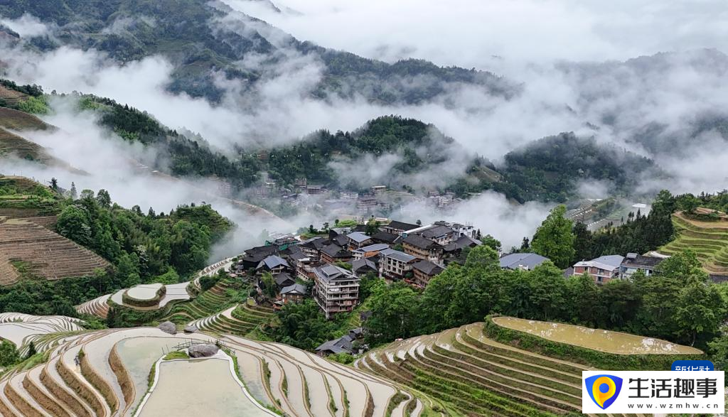 初夏梯田 景致如画(图4)
