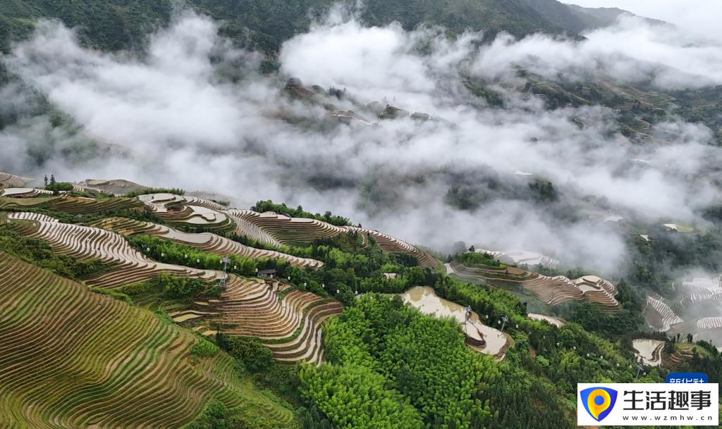 初夏梯田 景致如画(图3)