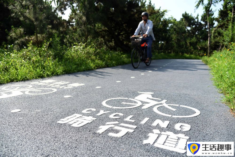 漫步日照阳光海岸绿道(图12)