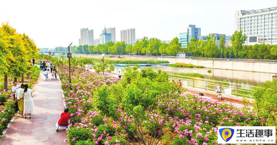推窗见绿 开门见景(图1)