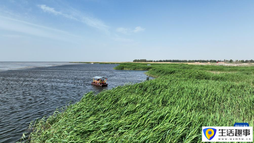 夏日乌梁素海(图11)