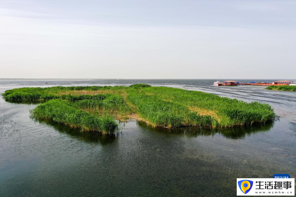夏日乌梁素海(图9)