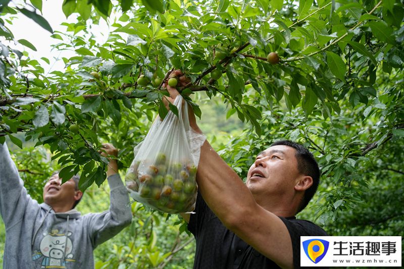 多点开花 势头正旺(图1)
