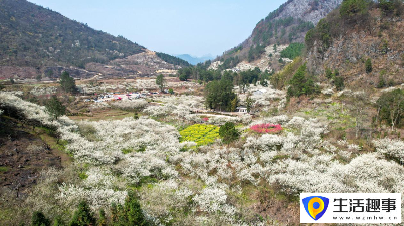 多点开花 势头正旺(图3)