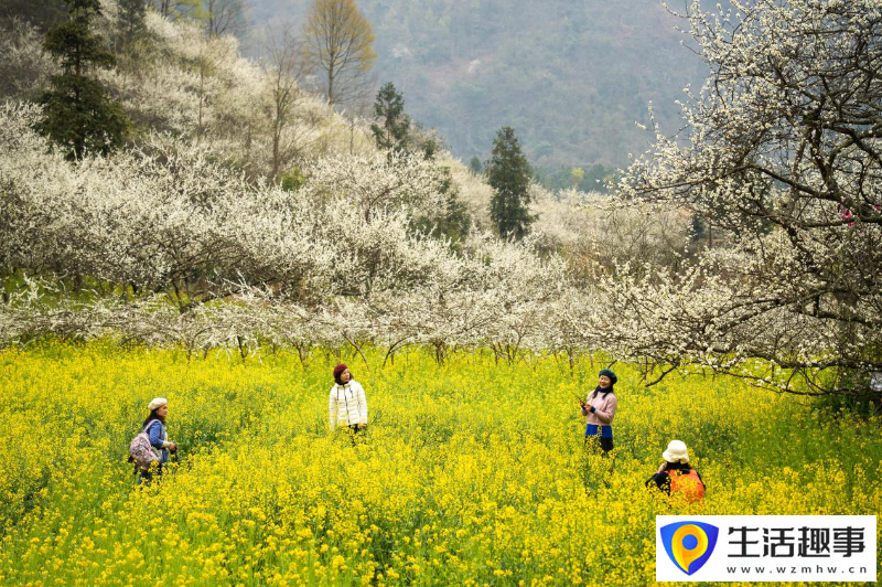 多点开花 势头正旺(图6)