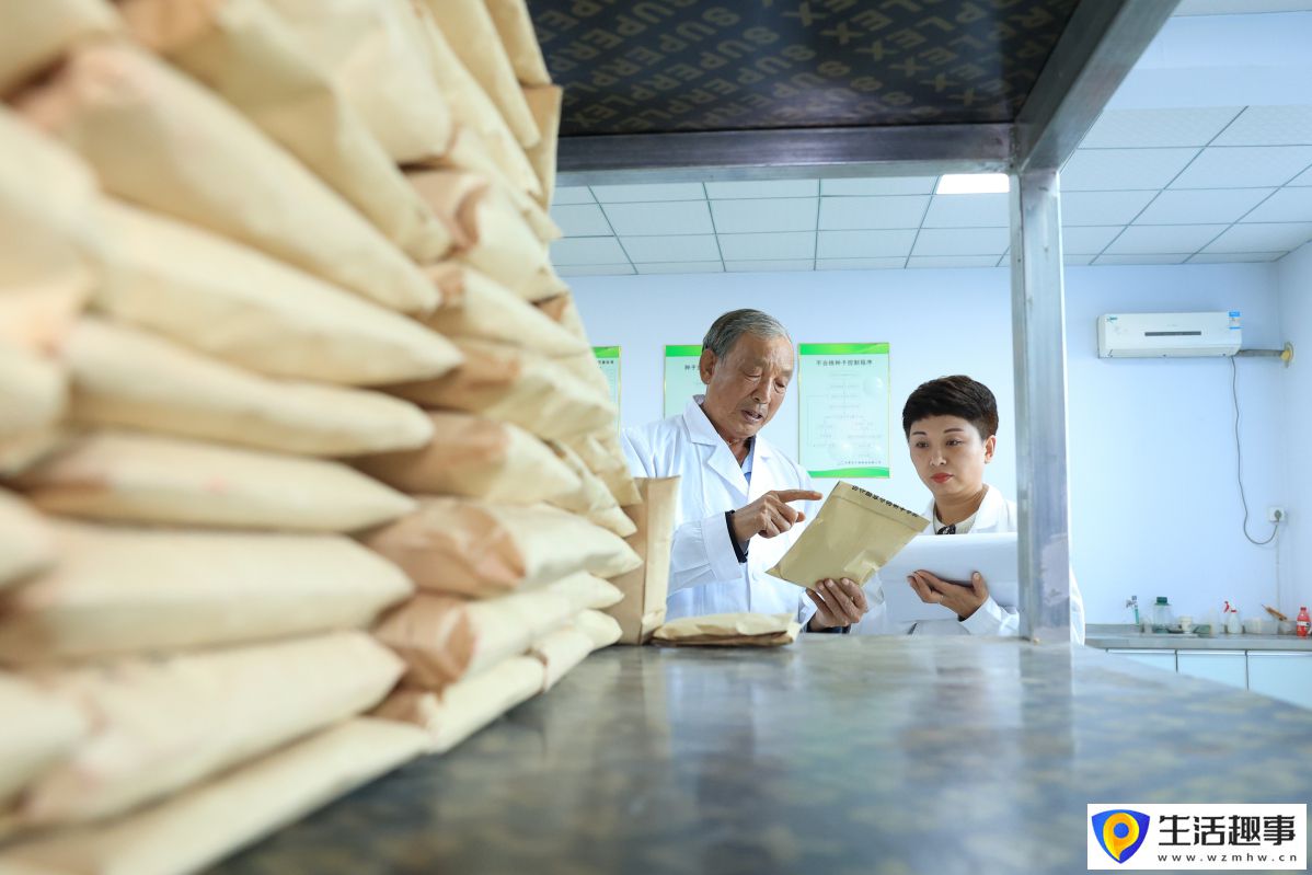 辛集市：为种业发展注入科技“内核”(图2)