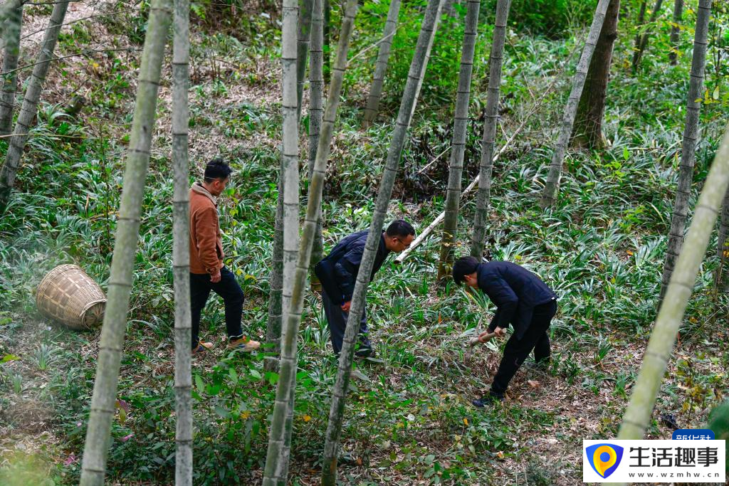 “念乡人”短视频助力乡村振兴(图15)