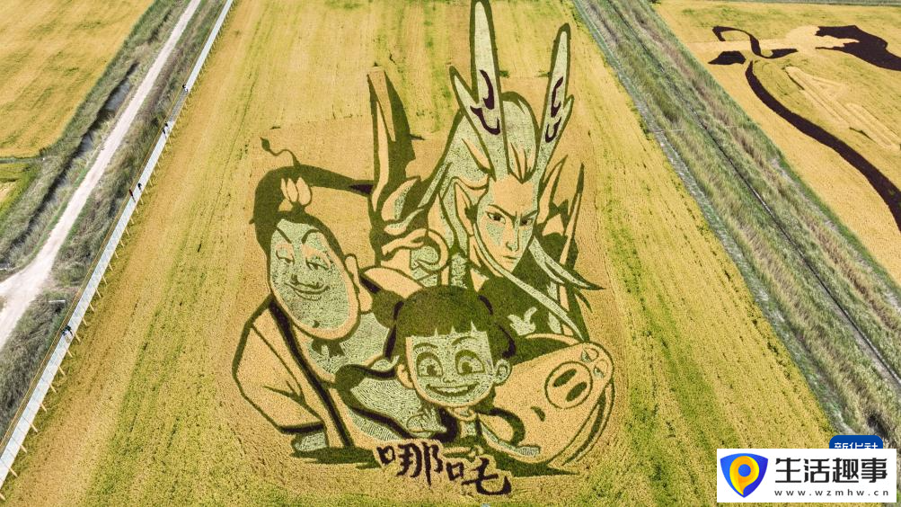 内蒙古准格尔旗：黄河蜿蜒 稻田作画(图3)