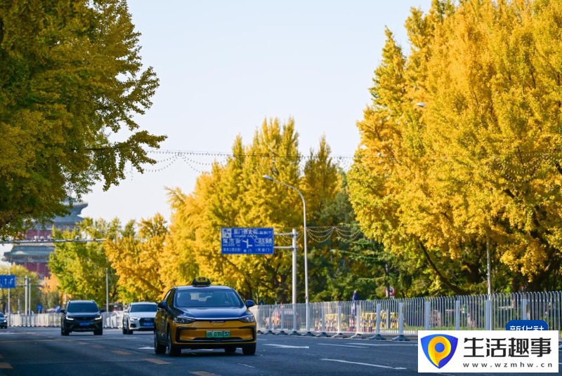 京城秋深韵悠长(图2) 京城秋深韵悠长(图2)