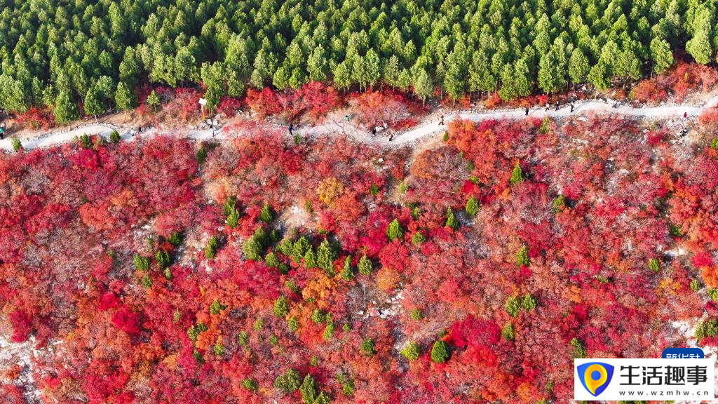 “平分秋色”蝎子山(图1) “平分秋色”蝎子山(图1)