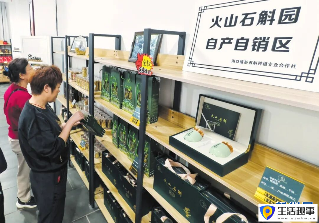 养鳄鱼、种荔枝、种凤梨……海南这些“亿元村”是怎么发展起来的？(图2)