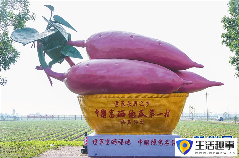 养鳄鱼、种荔枝、种凤梨……海南这些“亿元村”是怎么发展起来的？(图3)