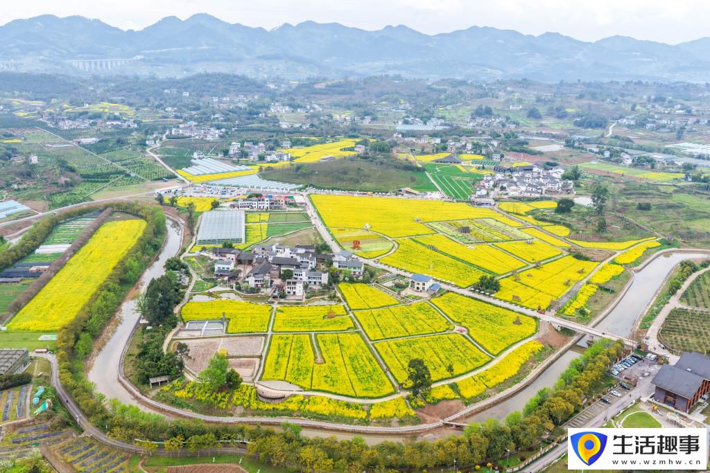 重庆璧山：花开引客来 融合促振兴