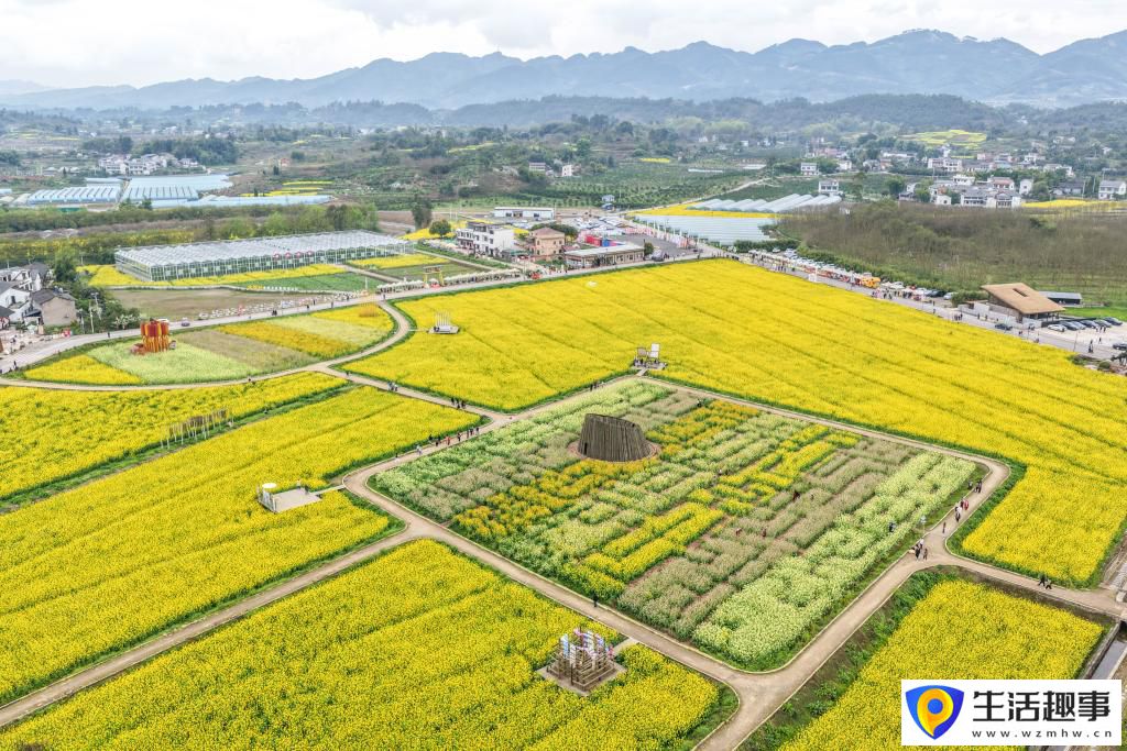 重庆璧山：花开引客来 融合促振兴(图2)