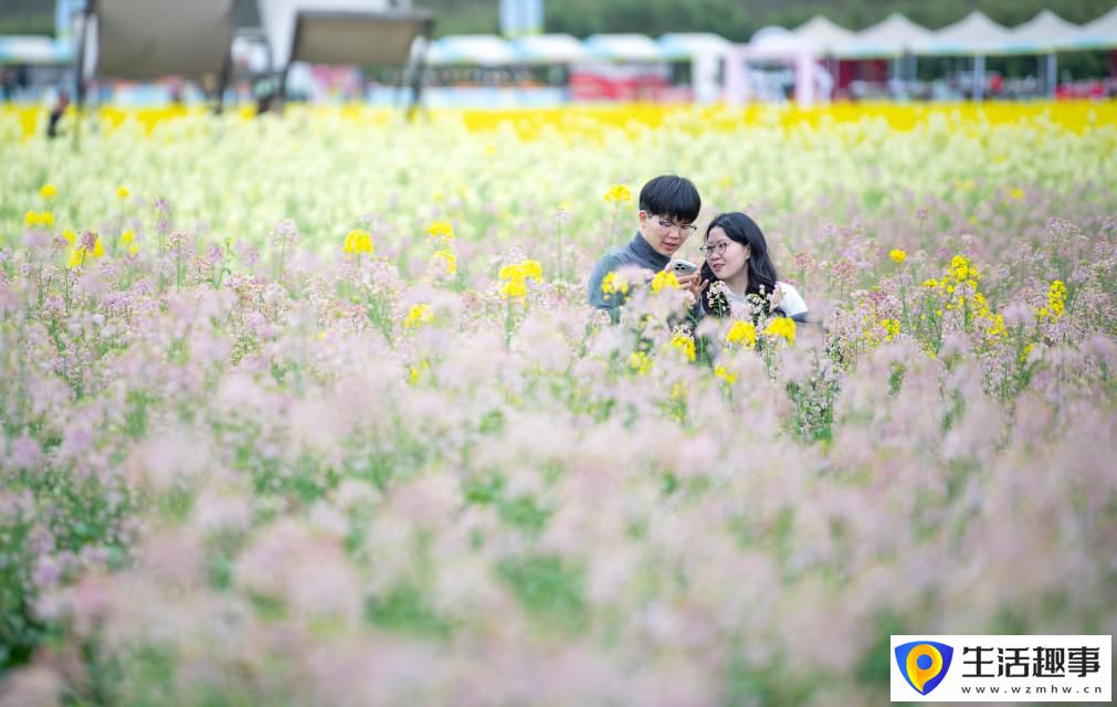 重庆璧山：花开引客来 融合促振兴(图3)