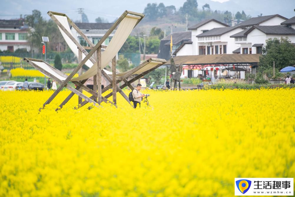 重庆璧山：花开引客来 融合促振兴(图4)