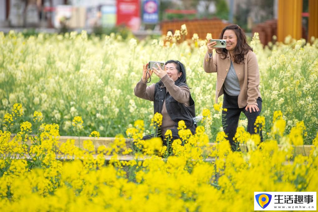 重庆璧山：花开引客来 融合促振兴(图5)
