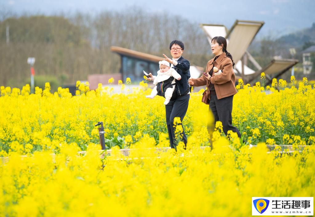 重庆璧山：花开引客来 融合促振兴(图6)