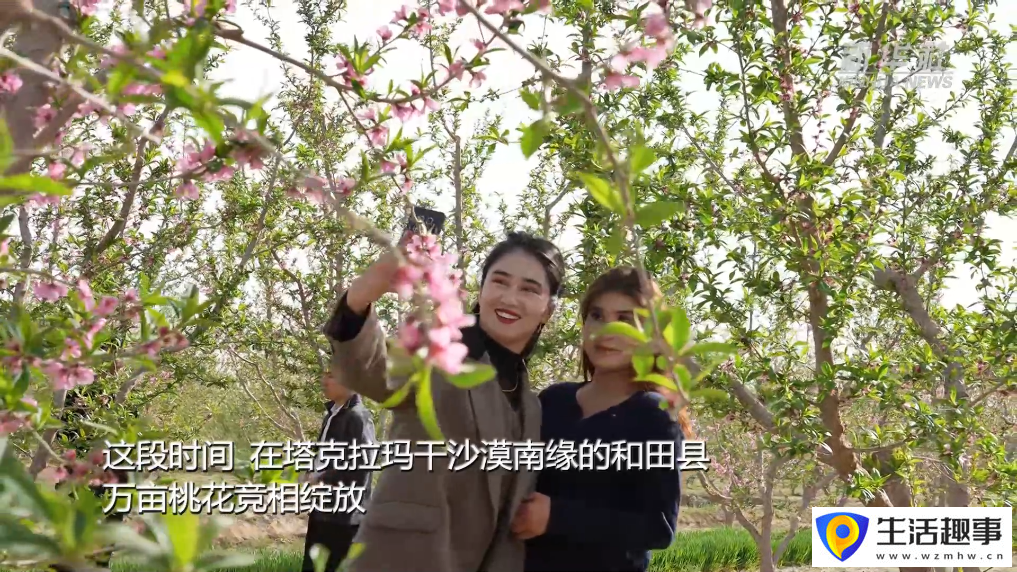 新疆以花为媒 绘旅游新图景(图2) 新疆以花为媒 绘旅游新图景(图2)