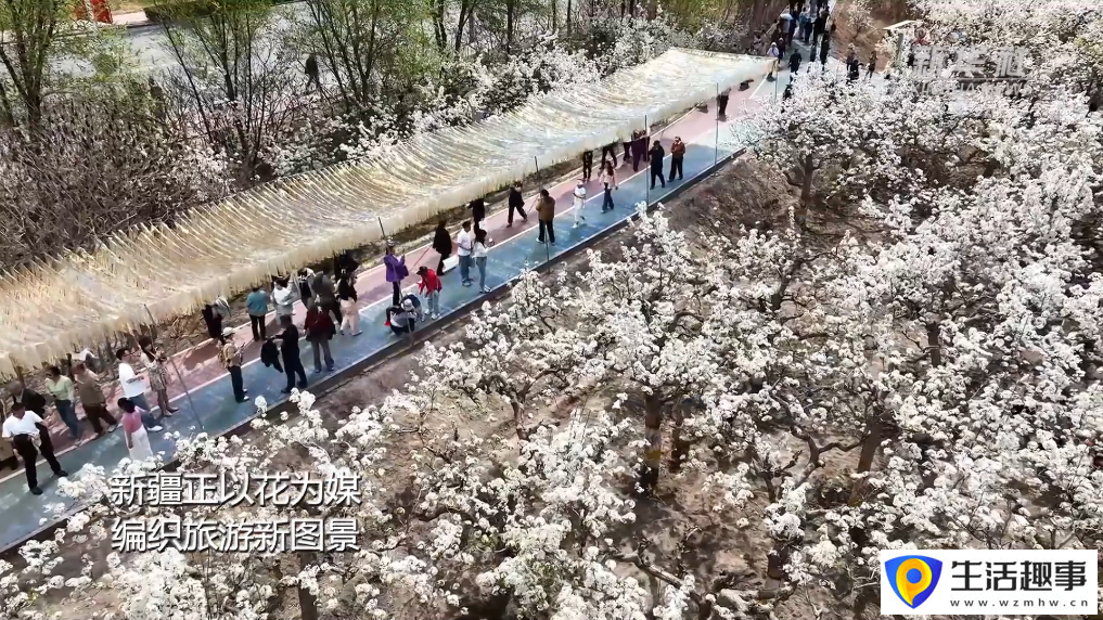 新疆以花为媒 绘旅游新图景(图4) 新疆以花为媒 绘旅游新图景(图4)